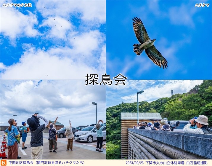 日本野鳥の会山口県支部