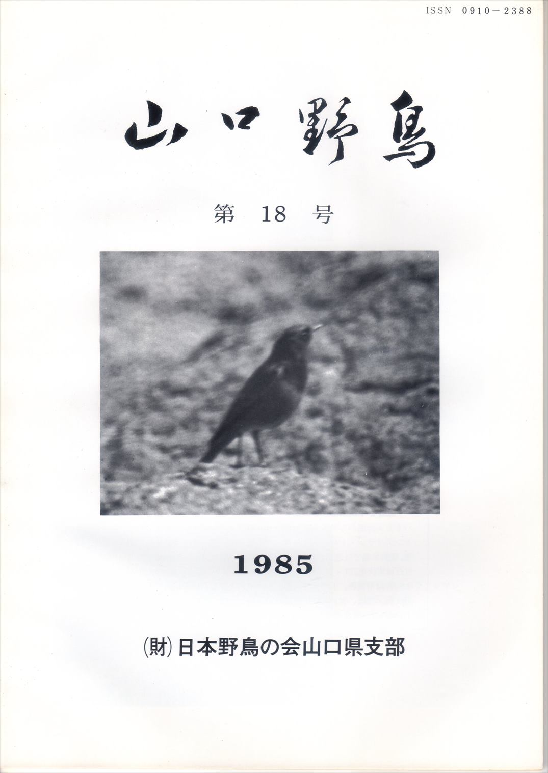 \(R쒹 18 1985