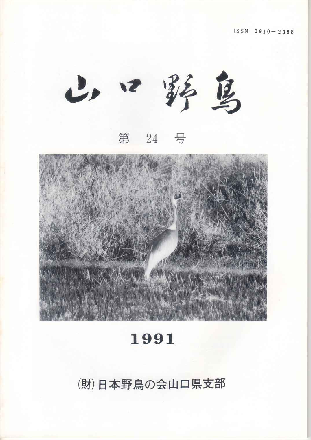 \(R쒹 24 1991