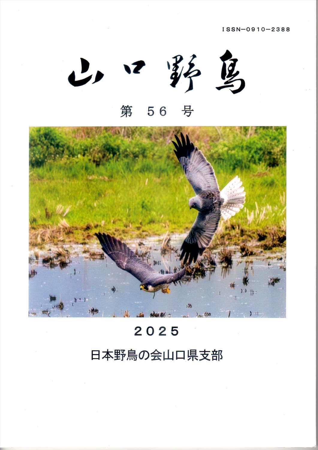 表紙(山口野鳥 第56号 2025